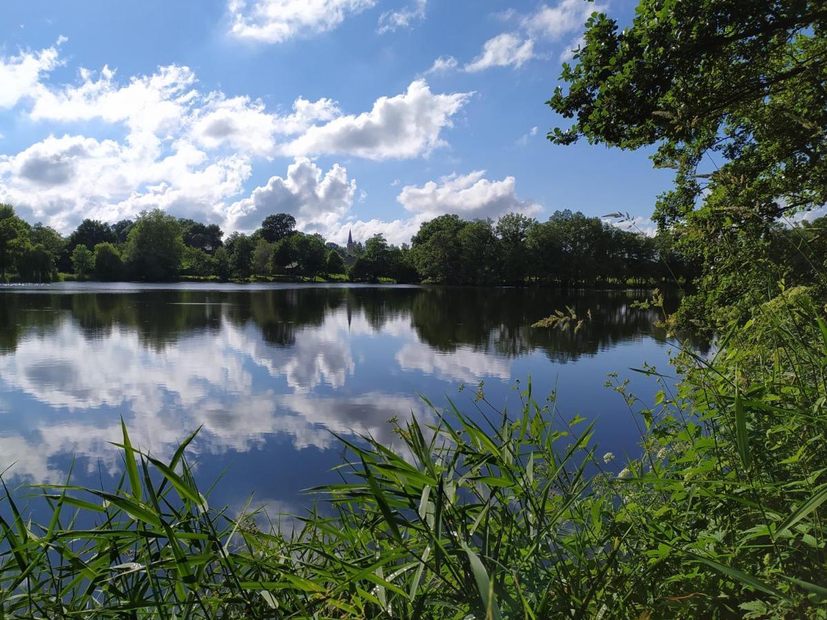 La Chaussee D'Olivet En Mayenne Exteriér fotografie