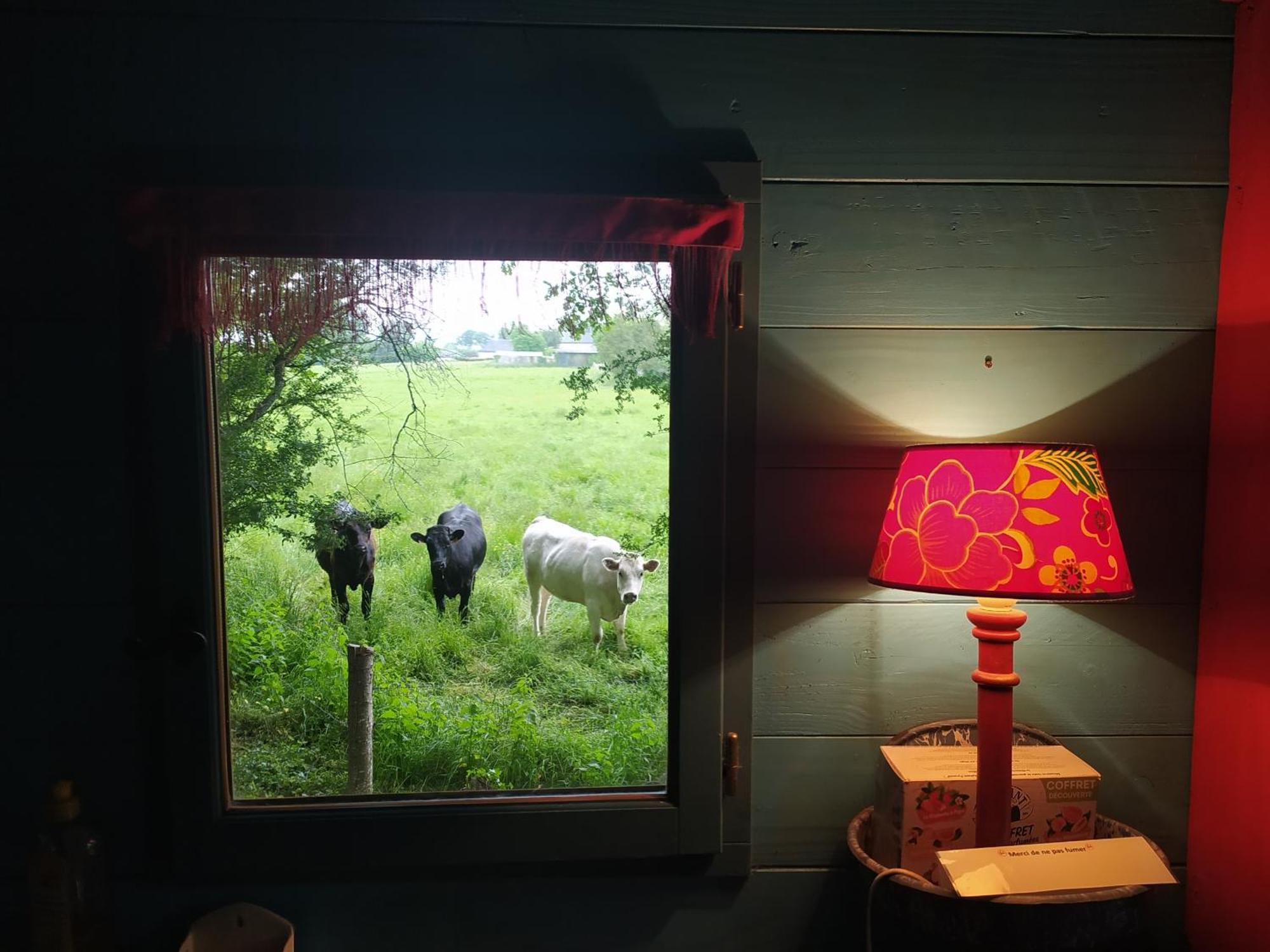 La Chaussee D'Olivet En Mayenne Pokoj fotografie